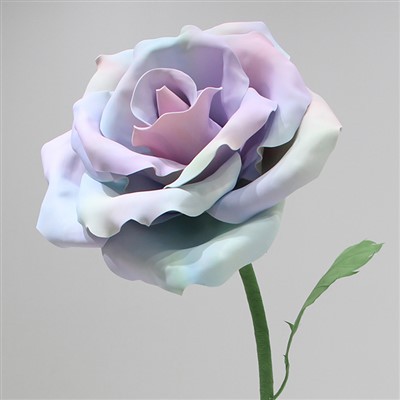 Vanjski div Eva ruža ruža rekviziti